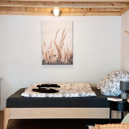 Birdhouse Apartamento Lubeca
