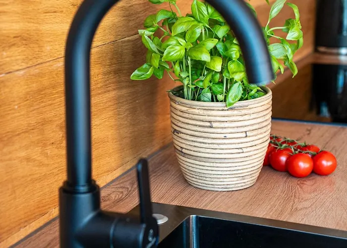 Birdhouse Appartement